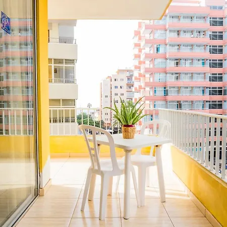 Live Palmeras Apartamento *