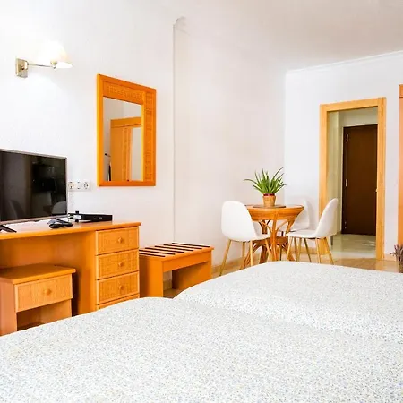 Live Palmeras Apartamento Puerto de la Cruz (Tenerife)