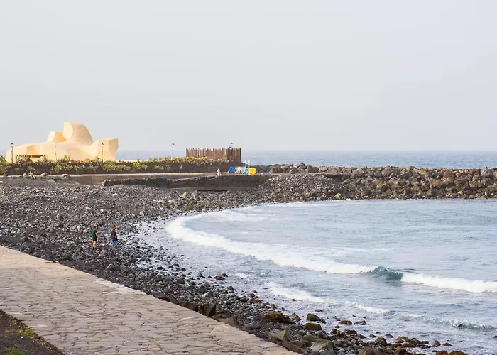 Live Palmeras Puerto de la Cruz (Tenerife)