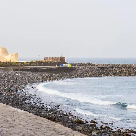 Live Palmeras بويرتو ذي لا كروز