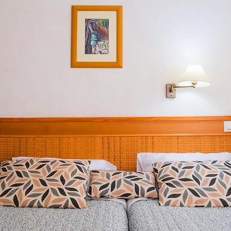 Live Palmeras بويرتو ذي لا كروز