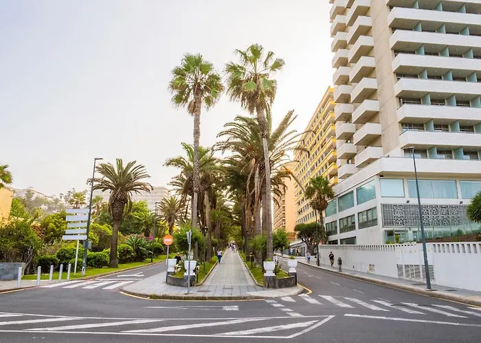 Live Palmeras Daire Puerto de la Cruz (Tenerife)