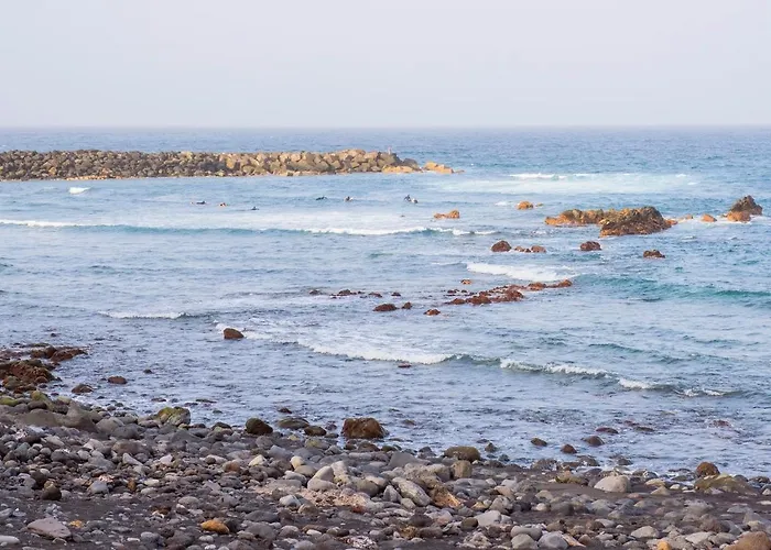 Live Palmeras Daire Puerto de la Cruz (Tenerife)